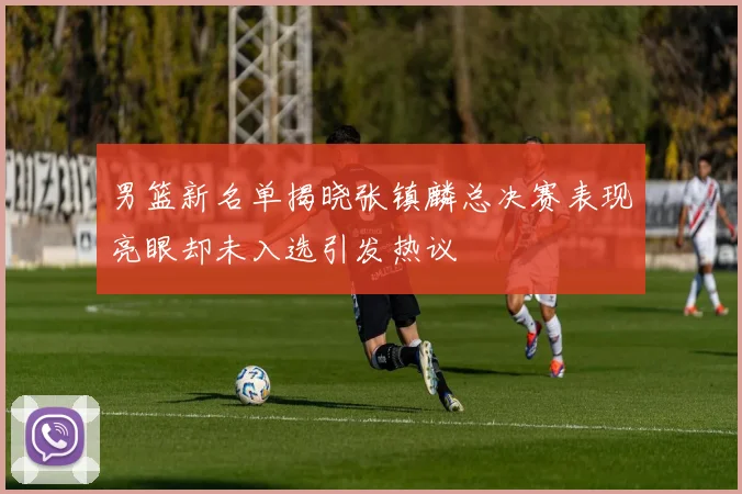 男篮新名单揭晓张镇麟总决赛表现亮眼却未入选引发热议