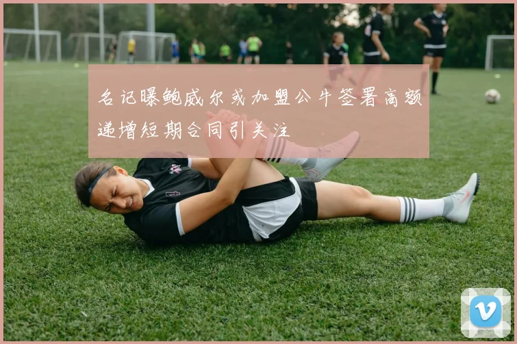 名记曝鲍威尔或加盟公牛签署高额递增短期合同引关注