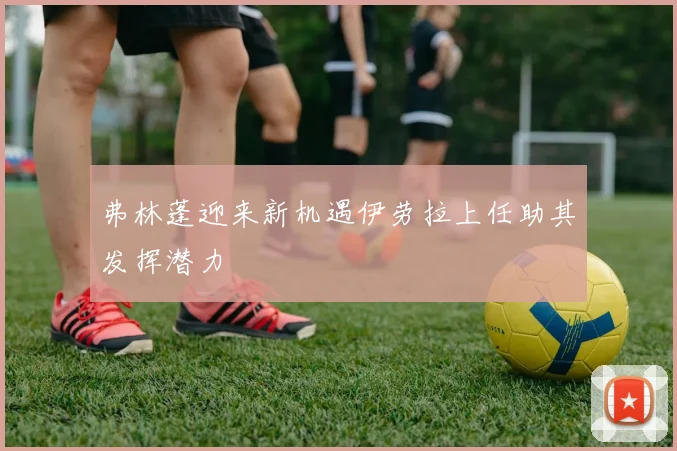 弗林蓬迎来新机遇伊劳拉上任助其发挥潜力