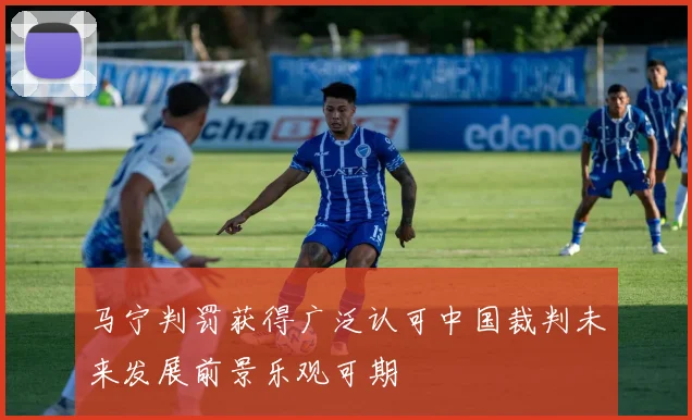 马宁判罚获得广泛认可中国裁判未来发展前景乐观可期