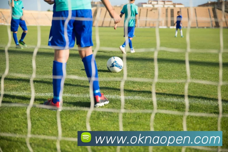 未来规划